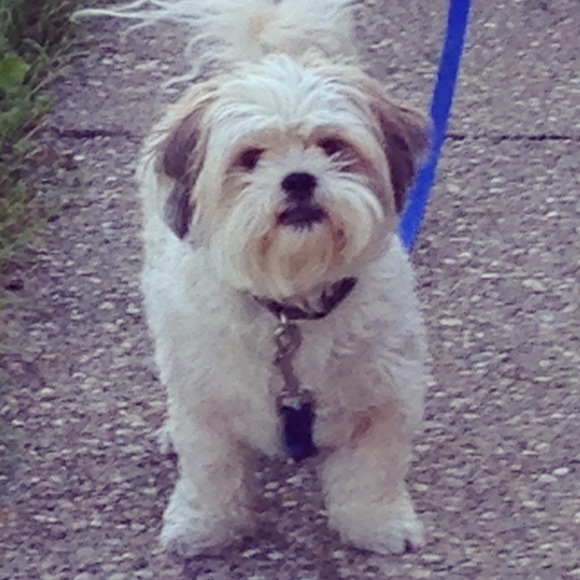 Meet your Posher, Dee - Picture 4 of 4