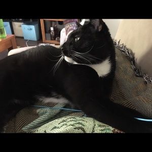 Meet your Posher, Sam