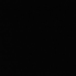 Meet your Posher, Ariana