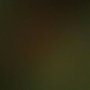 Meet your Posher, Cherinet