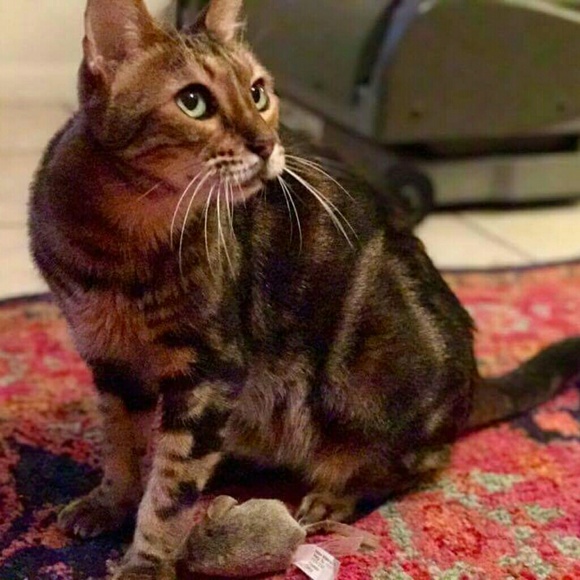 Meet your Posher, Lisa - Picture 2 of 3