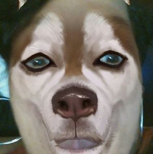 Meet your Posher, Latrice