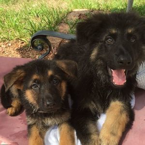 Meet your Posher, Jackie