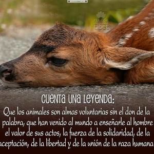 Meet your Posher, Irma