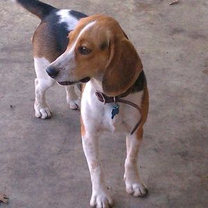 Meet your Posher, Wendy