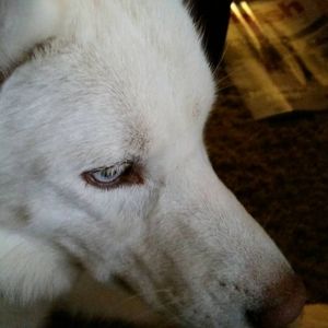 Meet your Posher, Kay