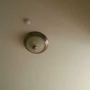 Meet your Posher, June