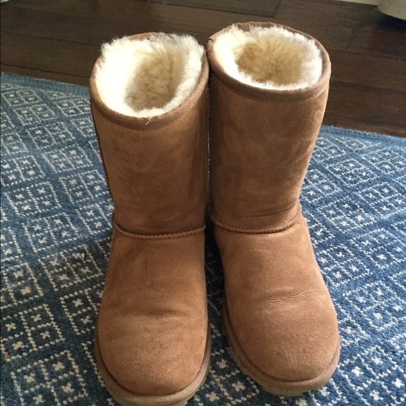 Uggs short - Picture 1 of 2