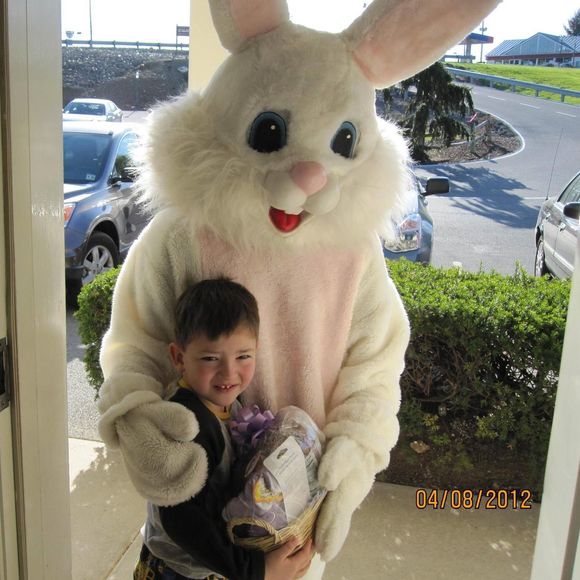 Meet your Posher, Robin - Picture 1 of 1