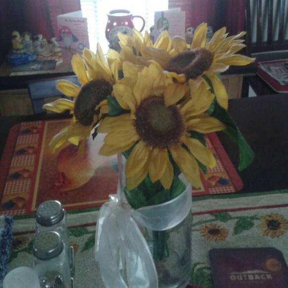 Meet your Posher, Delaney