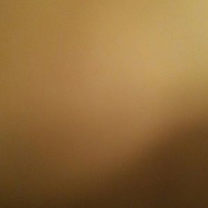 Meet your Posher, Sharonvin