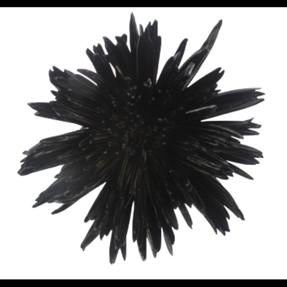 30% OFF BUNDLES Spider Mum🔹LOWEST🔹LAST ONE - Picture 3 of 3