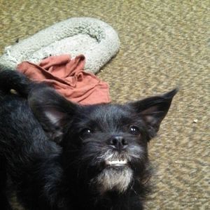 Meet your Posher, Candita