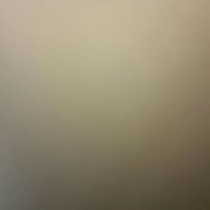 Meet your Posher, Annika