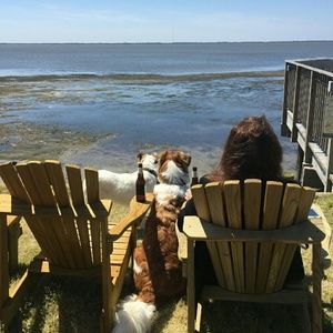 Meet your Posher, Nancy