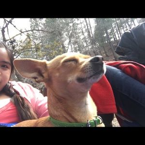 Meet your Posher, Dulce