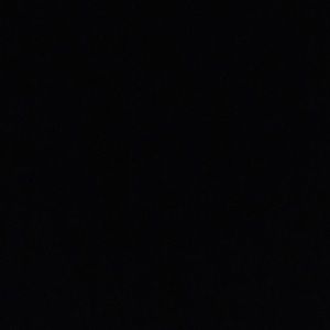 Meet your Posher, Delaney