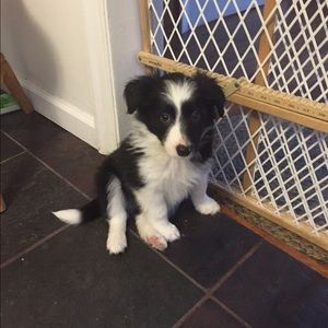 Meet your Posher, Mindy