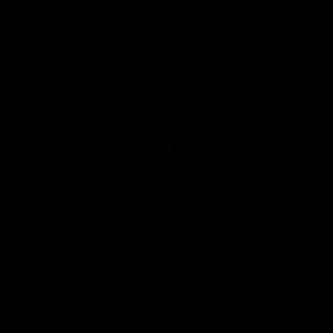 Meet your Posher, Ellie