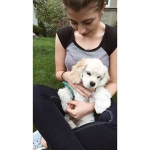 Meet your Posher, Laura