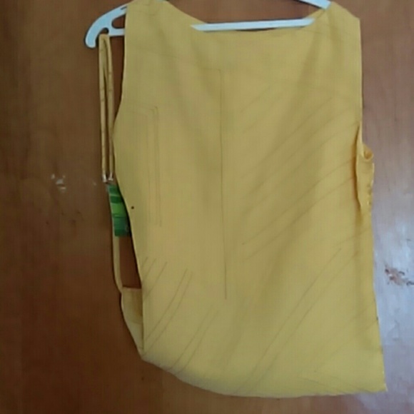 NEW NEVER WORN Citrine 2-Piece  + FREE blouse - Picture 3 of 4