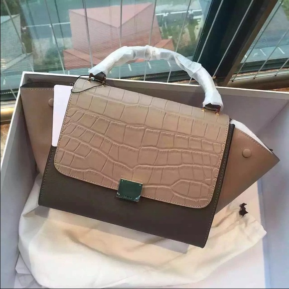 Celine Small Trapeze Python Purse