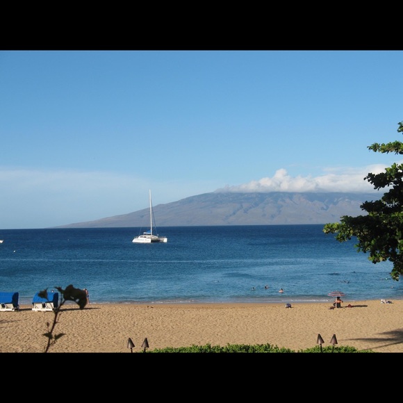 Meet your Posher, Selita - Picture 2 of 4