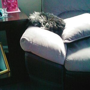 Meet your Posher, Denise