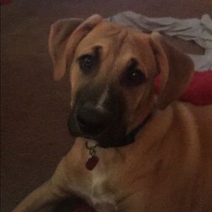 Meet your Posher, Jamie