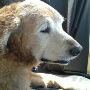 Meet your Posher, Cami