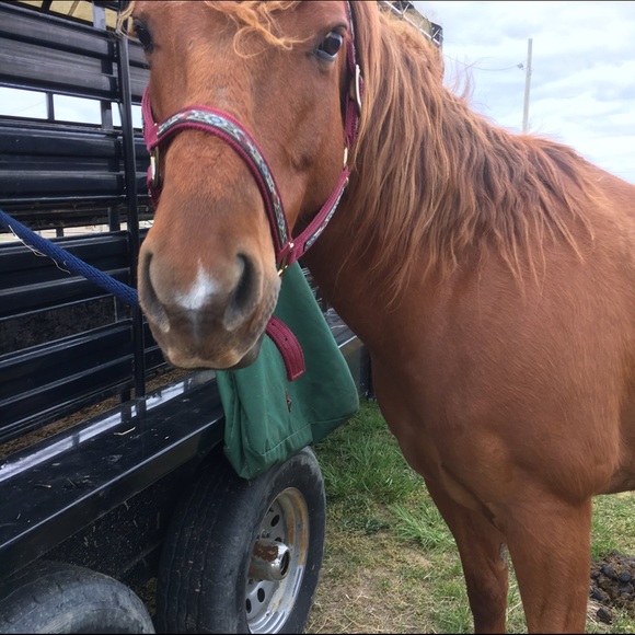 Meet your Posher, Dana