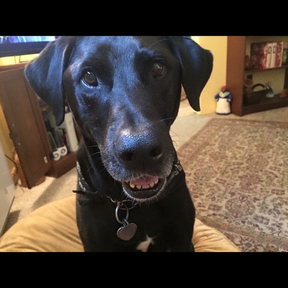 Meet your Posher, Tara