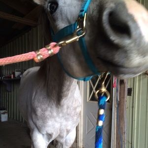 Meet your Posher, Mia