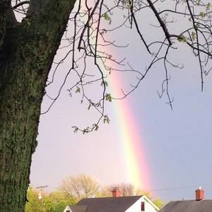 Meet your Posher, Lori