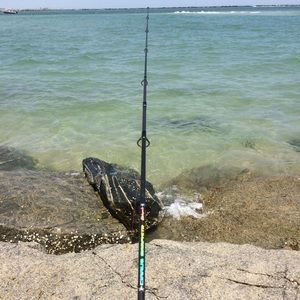 Meet your Posher, Sherrie