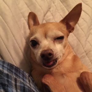 Meet your Posher, Brandy