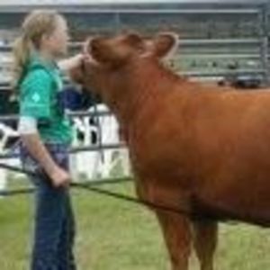 Meet your Posher, Sherry