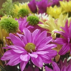 Meet your Posher, Khloud