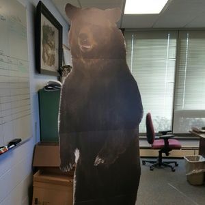 Meet your Posher, Karen