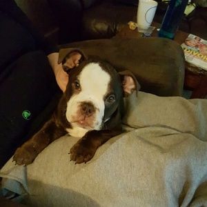 Meet your Posher, Mark