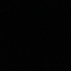 Meet your Posher, Lilly