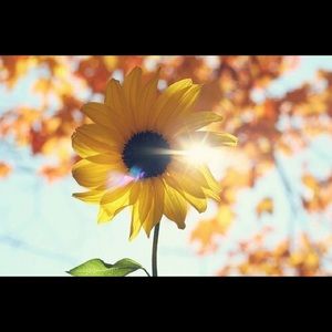 Meet your Posher, Kay