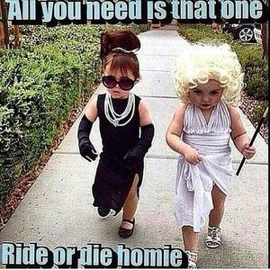 Meet your Posher, Jamie