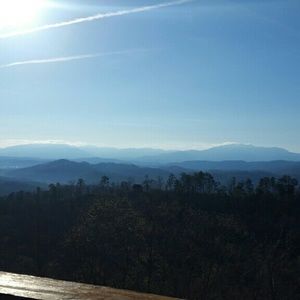 Meet your Posher, Tabitha