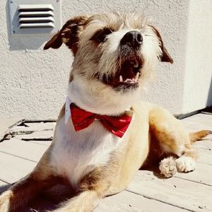 Meet your Posher, Emilia