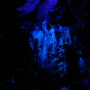 Meet your Posher, Trista