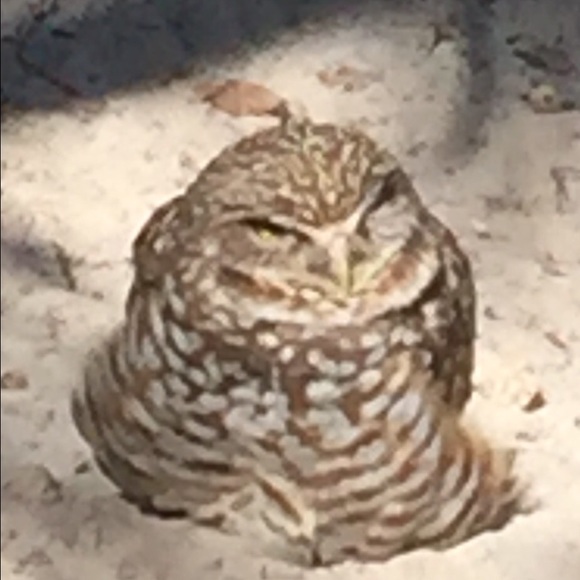 Meet your Posher, Kelli - Picture 1 of 1