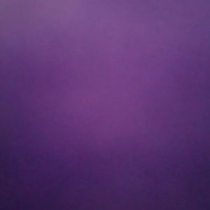 Meet your Posher, Bianca