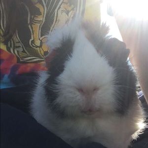 Meet your Posher, Jenna