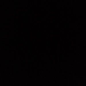 Meet your Posher, Ava